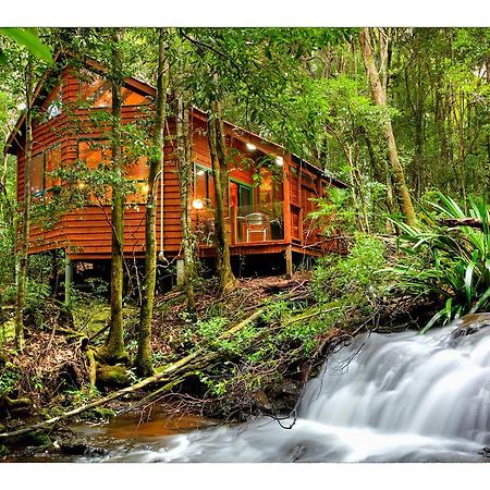 The Mouses House Rainforest Retreat Springbrook Buitenkant foto