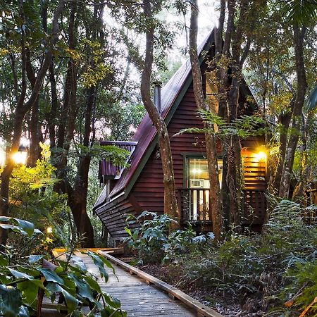 The Mouses House Rainforest Retreat Springbrook Buitenkant foto