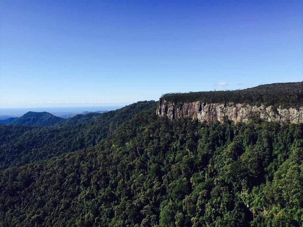 The Mouses House Rainforest Retreat Springbrook Buitenkant foto