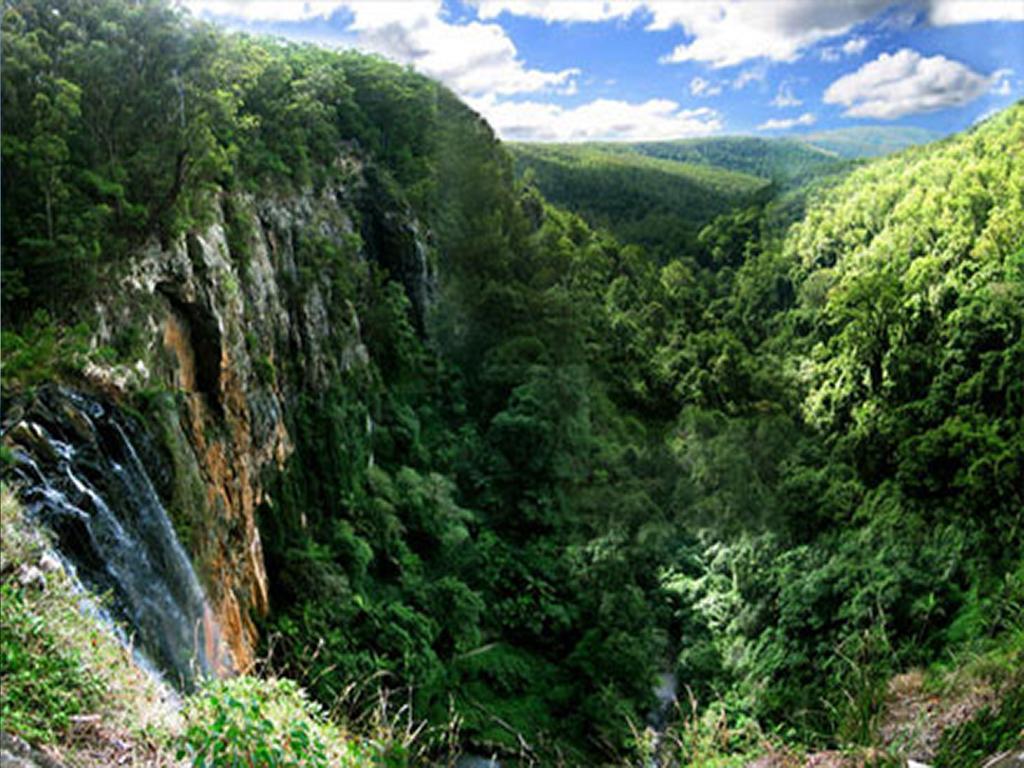 The Mouses House Rainforest Retreat Springbrook Buitenkant foto