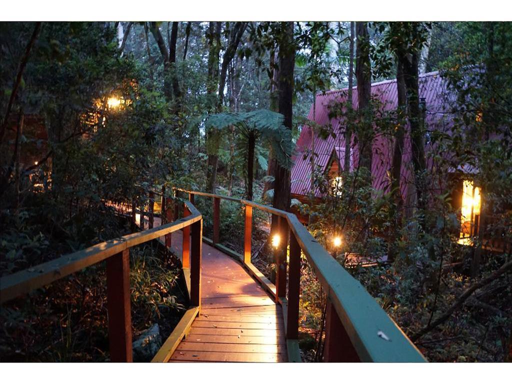 The Mouses House Rainforest Retreat Springbrook Buitenkant foto