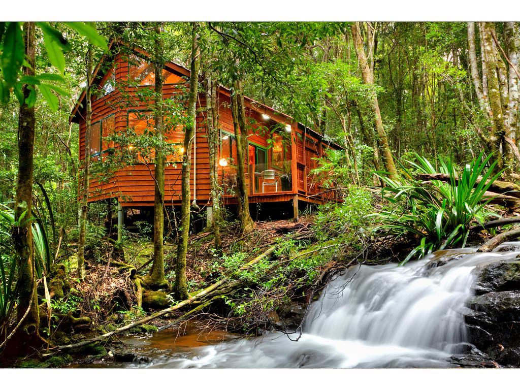 The Mouses House Rainforest Retreat Springbrook Buitenkant foto
