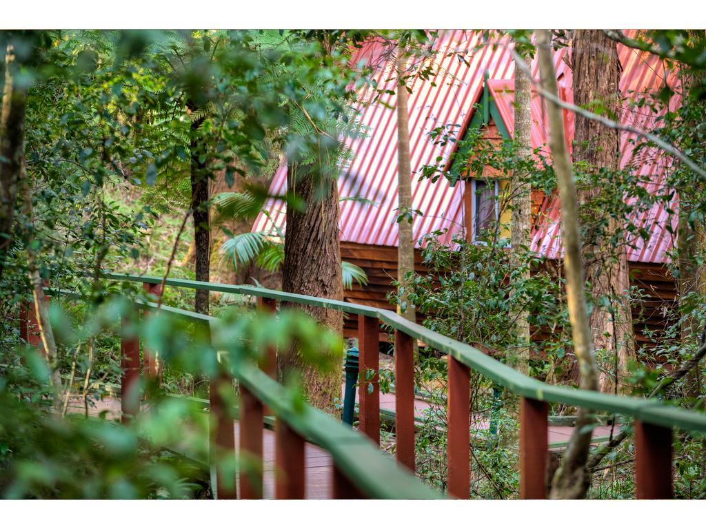 The Mouses House Rainforest Retreat Springbrook Buitenkant foto