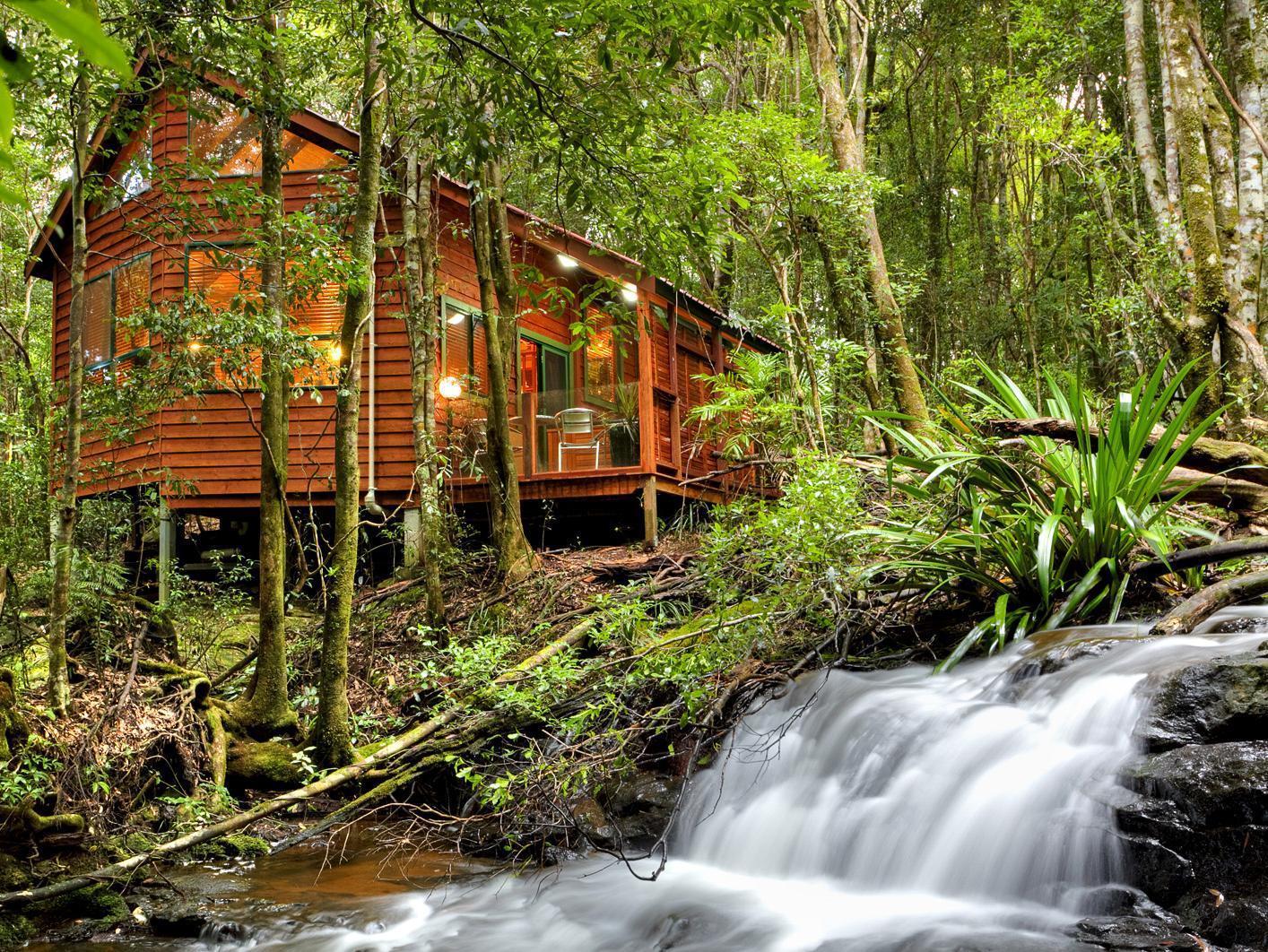The Mouses House Rainforest Retreat Springbrook Buitenkant foto