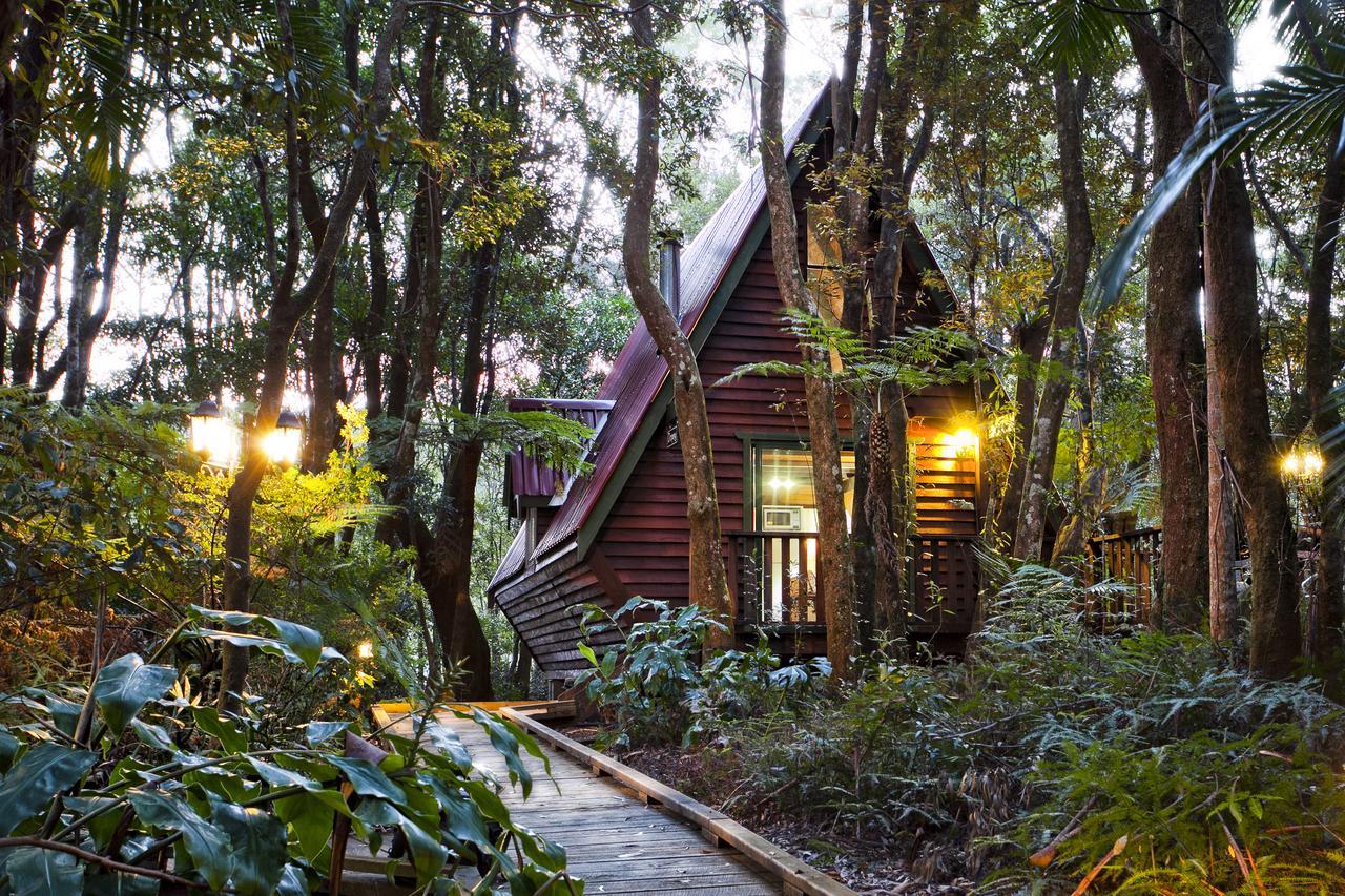 The Mouses House Rainforest Retreat Springbrook Buitenkant foto