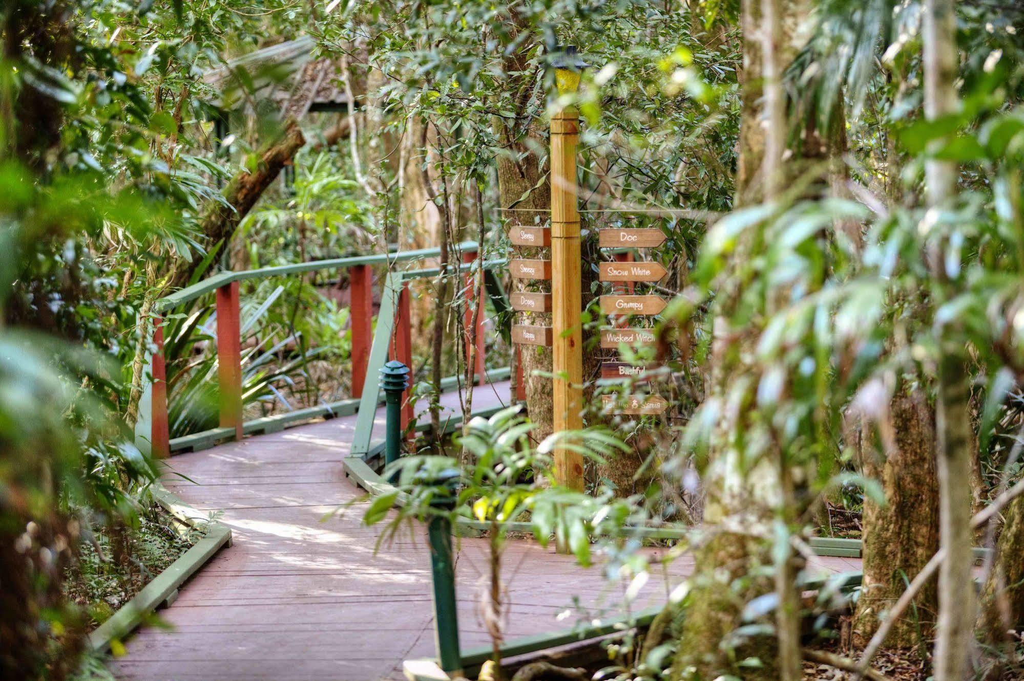 The Mouses House Rainforest Retreat Springbrook Buitenkant foto
