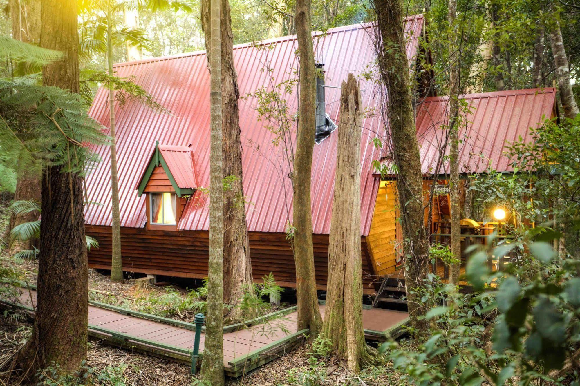 The Mouses House Rainforest Retreat Springbrook Buitenkant foto