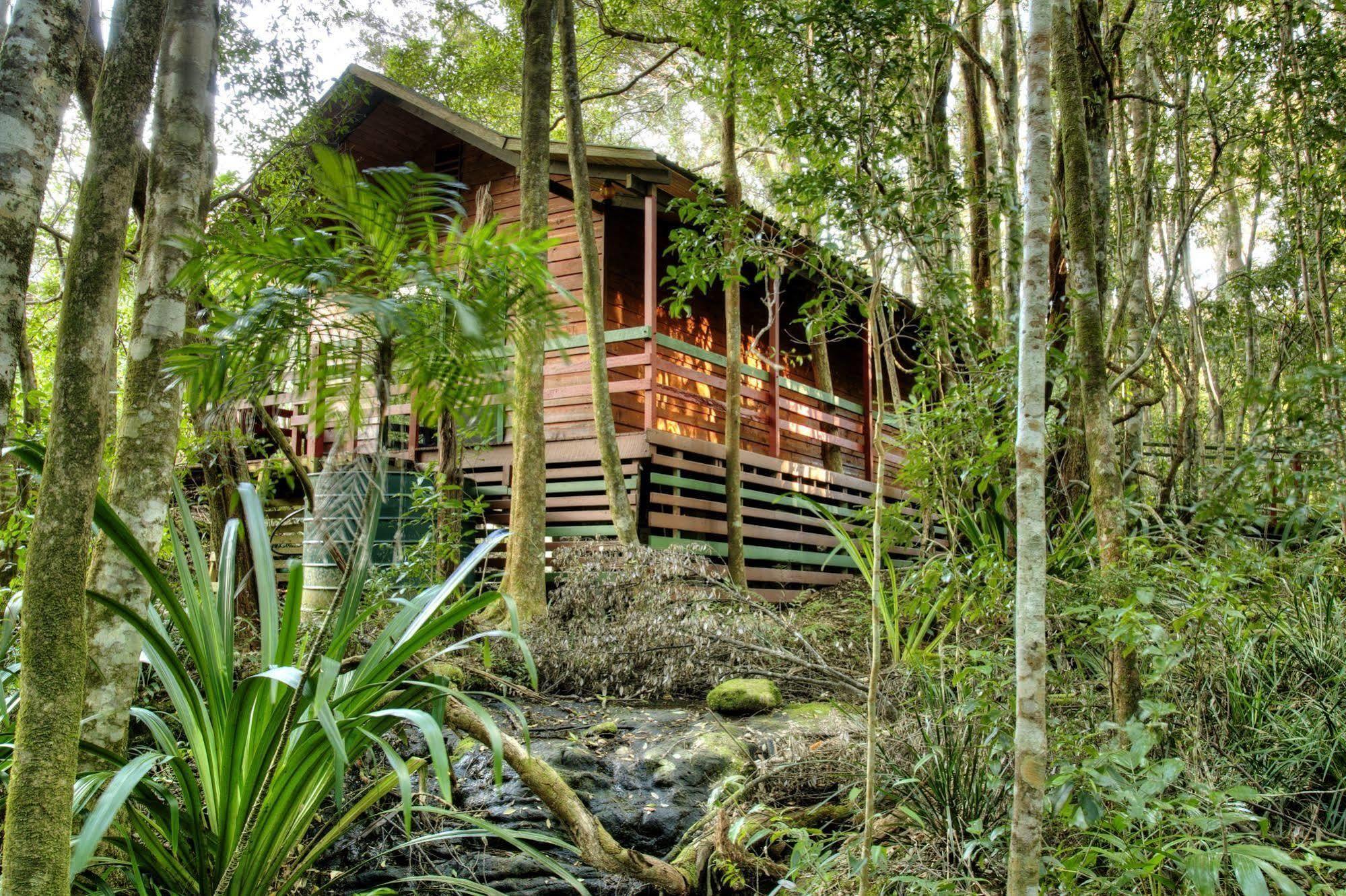 The Mouses House Rainforest Retreat Springbrook Buitenkant foto