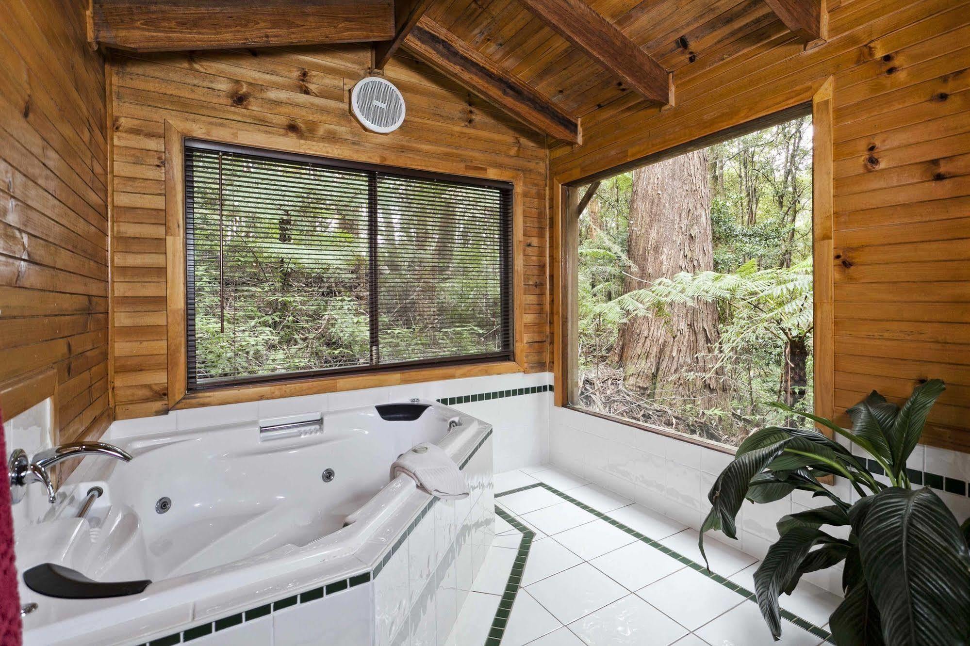 The Mouses House Rainforest Retreat Springbrook Buitenkant foto