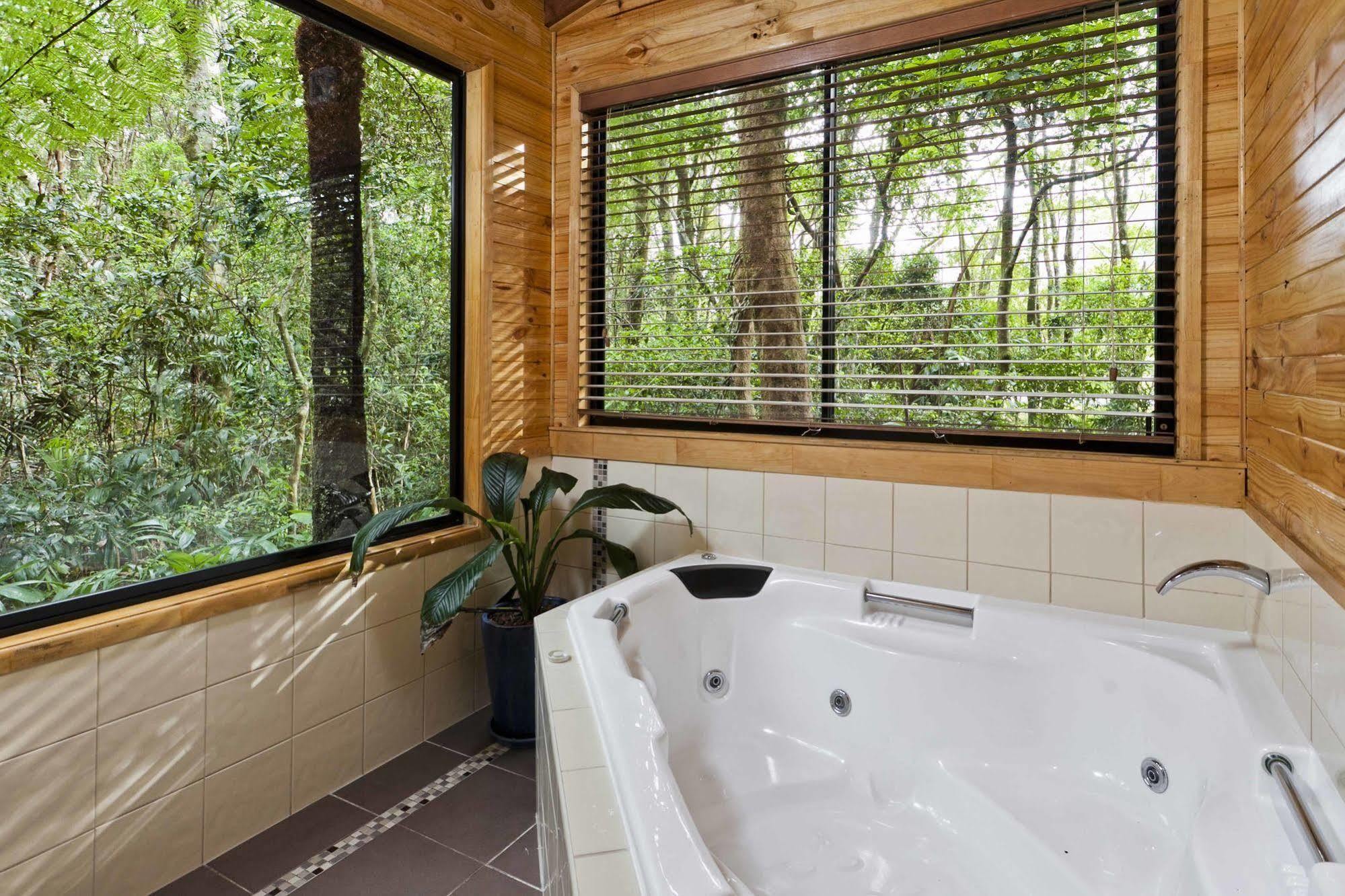 The Mouses House Rainforest Retreat Springbrook Buitenkant foto