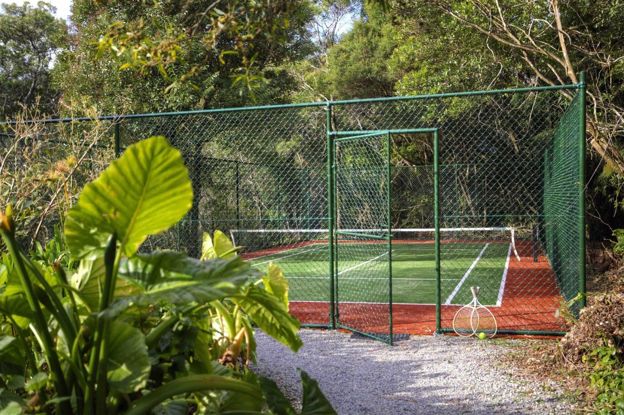 The Mouses House Rainforest Retreat Springbrook Buitenkant foto