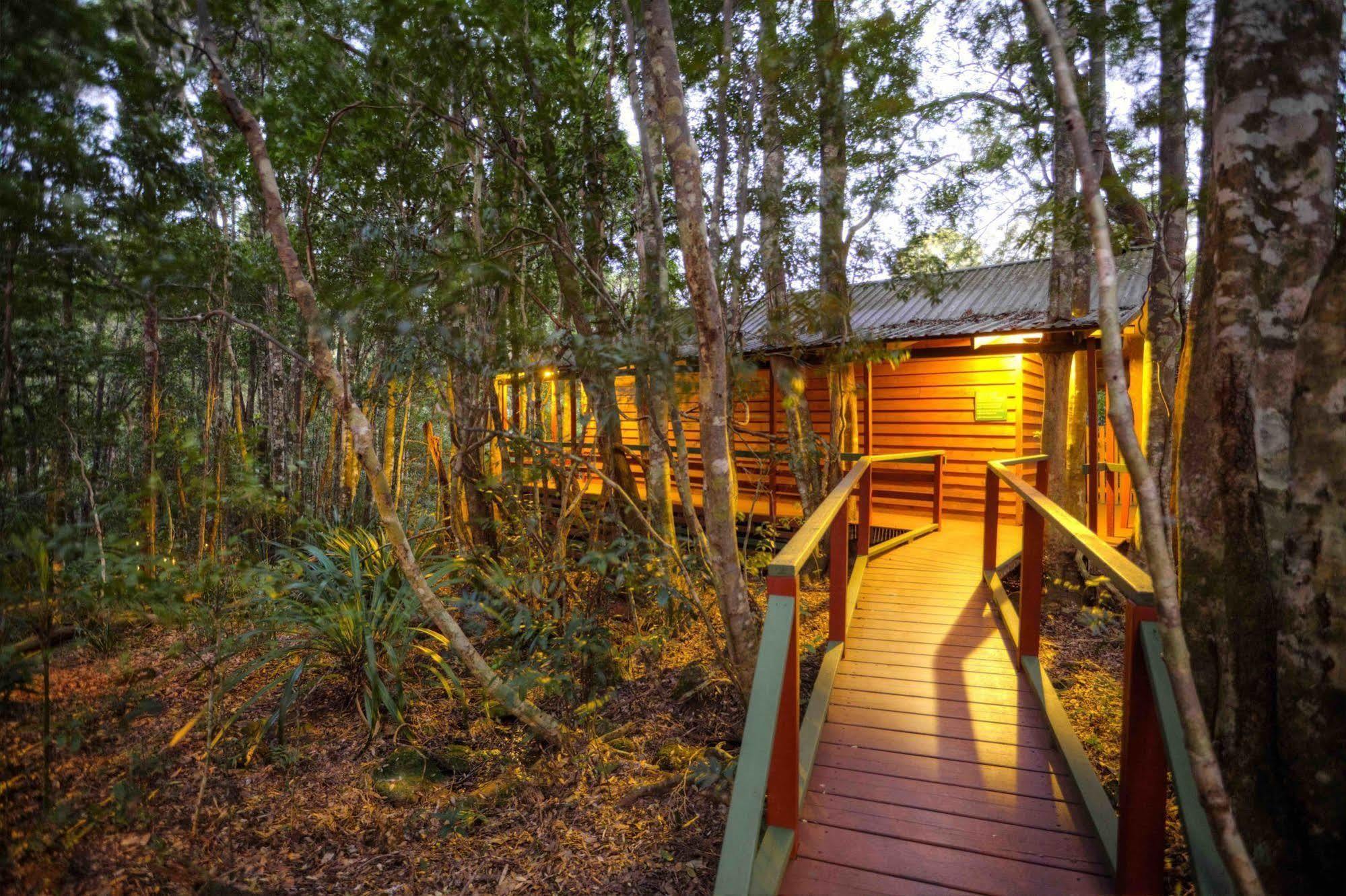 The Mouses House Rainforest Retreat Springbrook Buitenkant foto